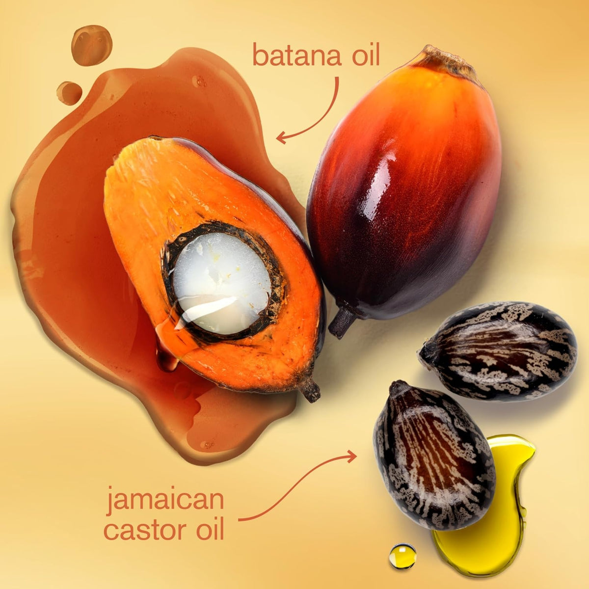 Batana olie og jamaicansk castorolie ved siden af opskåret palmefrugt med hvid kerne og mørke castorbønner.